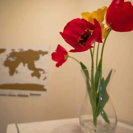 Garden Gate * Veliko Tarnovo