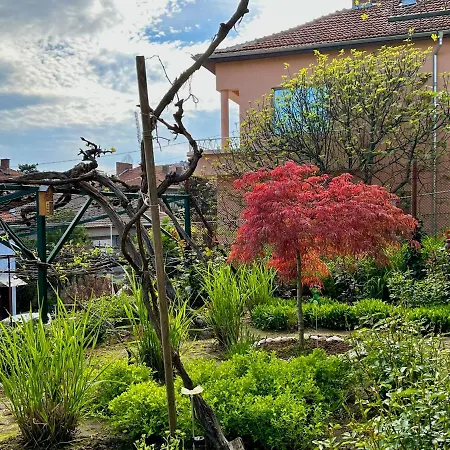 Garden Gate