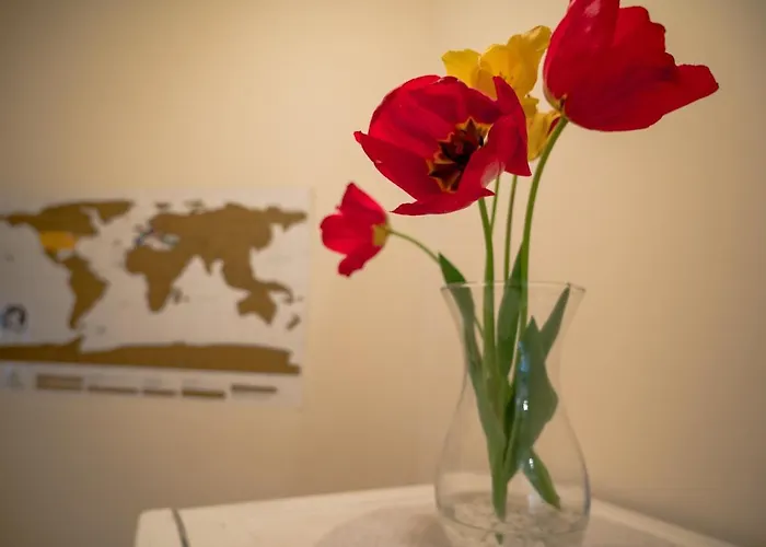 Garden Gate * Tırnova